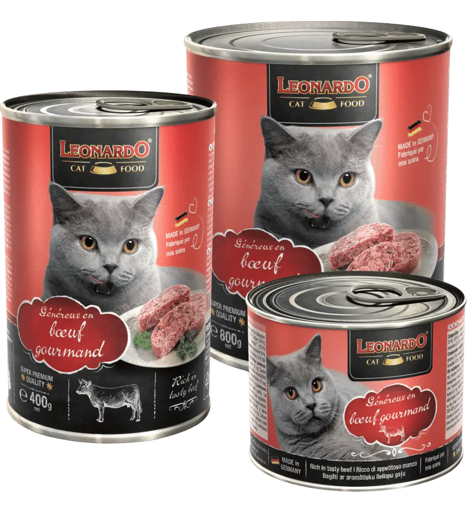 Leonardo Boîte Bœuf trio