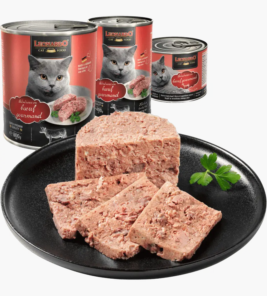 Leonardo Boîte Bœuf viande