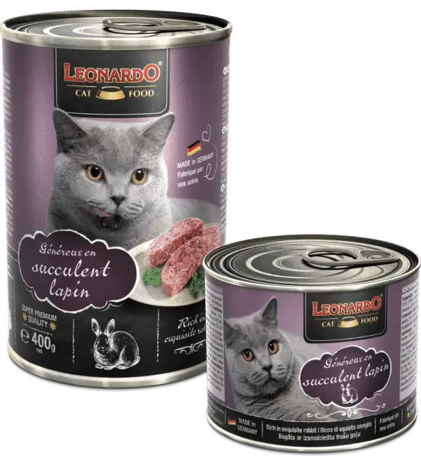 Leonardo Boîte Lapin Duo