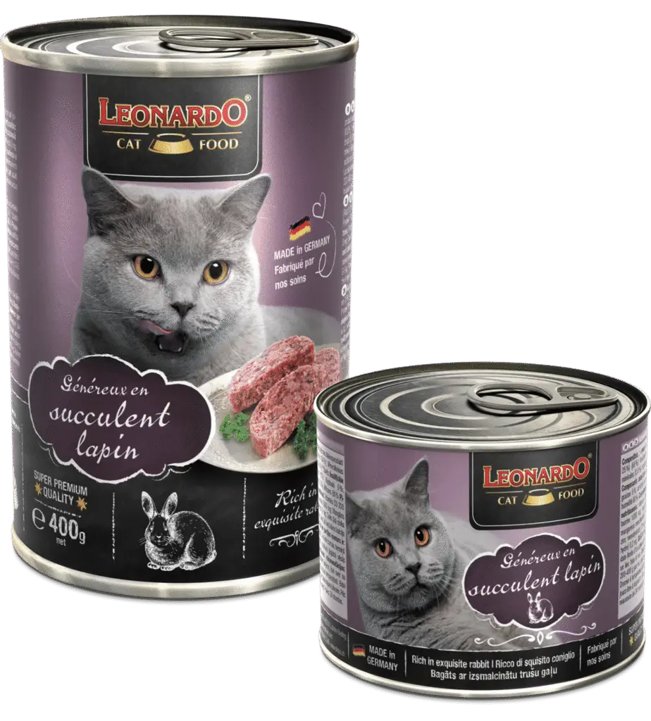 Leonardo Boîte Lapin Duo