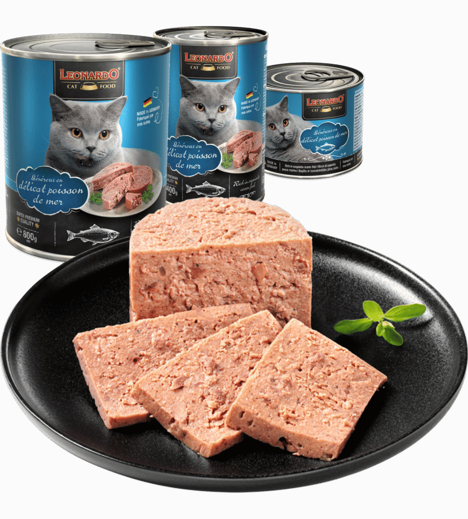 Leonardo Boîte Poisson de Mer