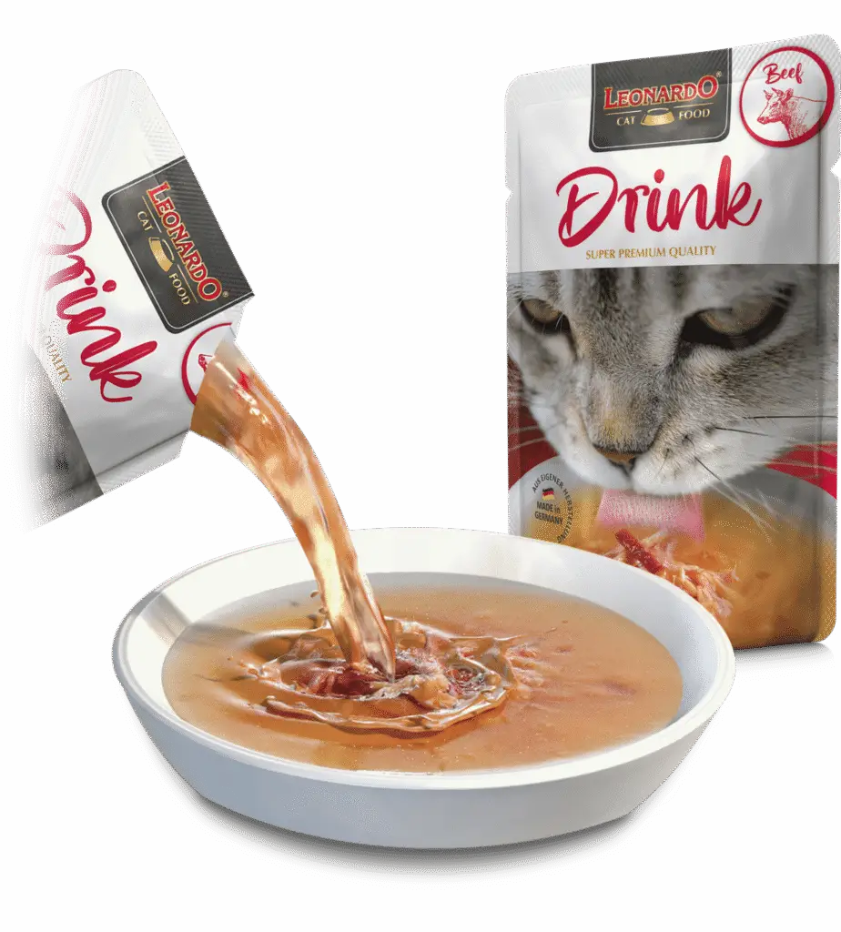 Leonardo Drink Bœuf soupe