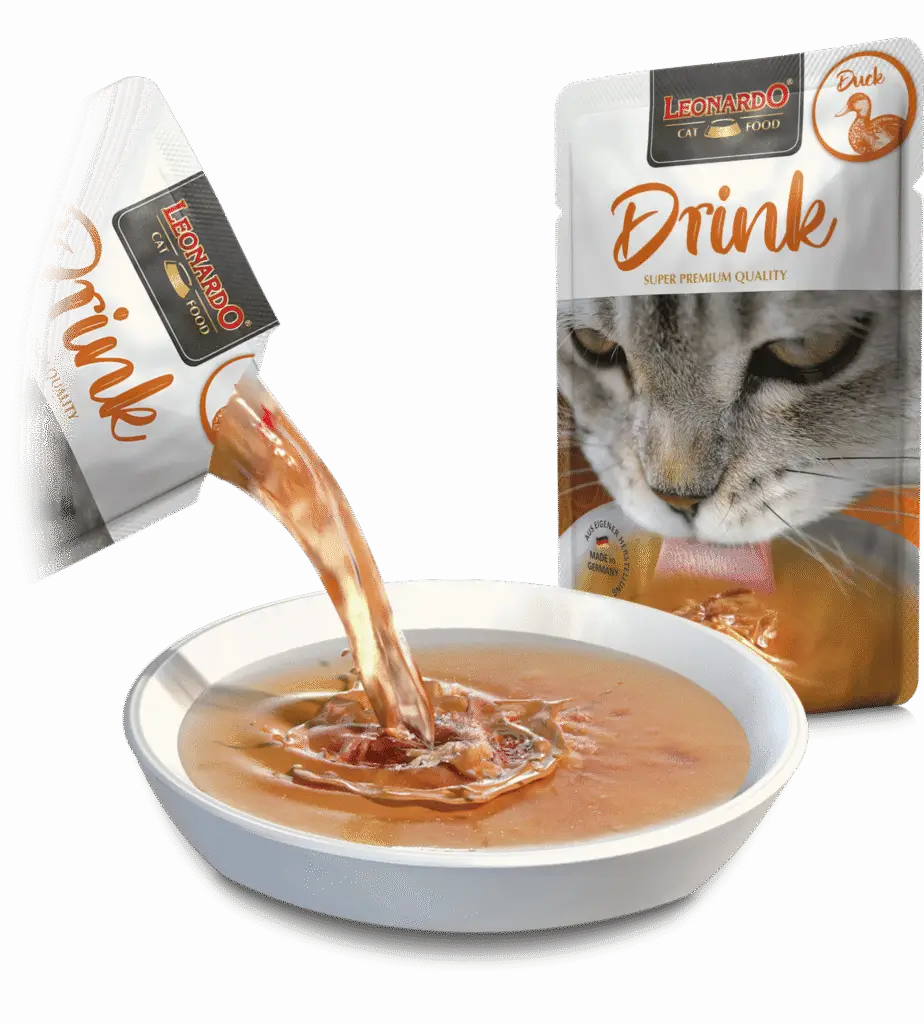 Leonardo Drink Canard soupe
