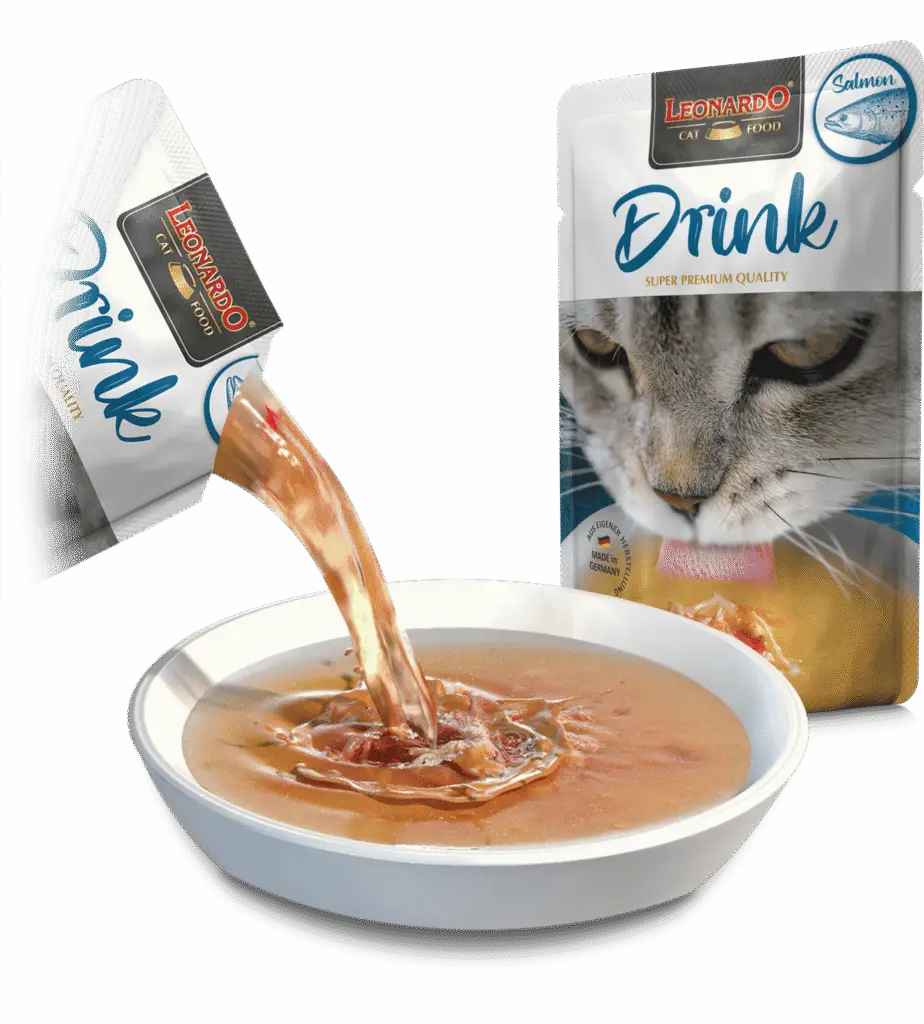 Leonardo Drink Saumon soupe