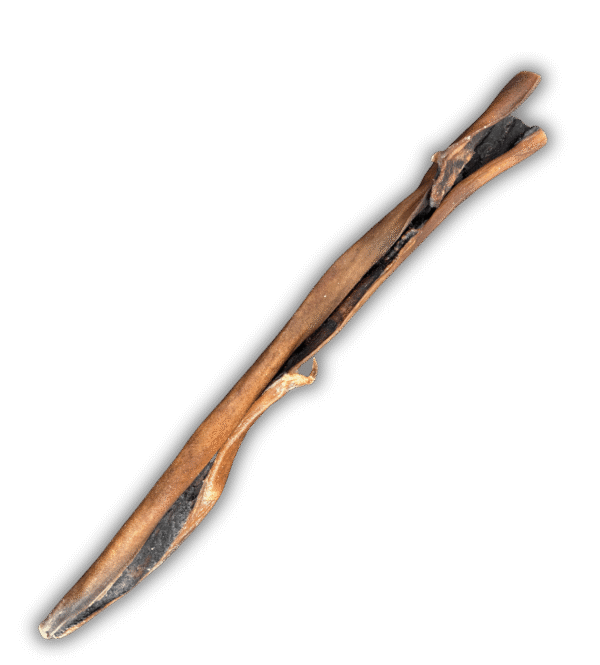 Le Stick de Peau de Chameau